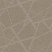 Ворнер аватар кафеава апстрактна геометриска позадина