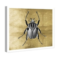 Wynwood Studio Animals Wall Art Canvas Prints 'Insecte Gold' Insects - црно, злато