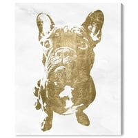 Wynwood Studio Animals Wall Art Canvas отпечатоци „импулсивни“ кучиња и кутриња - злато, бело