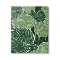 Слоевит зелен лист природа Ботаничка и цветна графичка уметничка галерија завиткана од платно печатење wallидна уметност