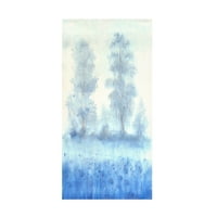 Тим Отоли „Сина фокус II“ платно уметност