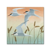 Заштитена марка ликовна уметност „бесплатно како птица II V2“ платно уметност од Кетрин Ловел
