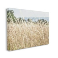 Студената индустрија рурално пченица поле пролетно ветре галерија завиткана од платно печатење wallидна уметност, дизајн од