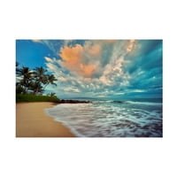 Денис Фрејтс „плажа 23“ платно уметност