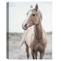 Уметничка галерија за ремек -дело Западен русокоса коњ од Крис Данкер Канвас Уметнички принт 18 24