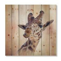 Дизајн Затвори портрет на жирафа VI 'фарма куќа за печатење на природно бор дрво