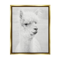 Tuphel Monochrome Alpaca Farm Animal Animal & Insects Фотографија златен лебран врамен уметнички печатен wallид