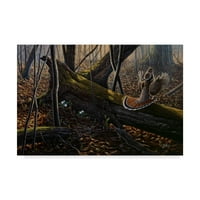 Трговска марка ликовна уметност „гром во платното на шумата“ од Вилхелм Гобел