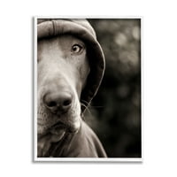 Куче од ступел индустрии, облечена во џемпер со качулка, монохроматска фотографија фотографија бела врамена уметничка печатена