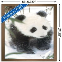 Животни-Панда Во Снежниот Ѕид Постер, 14.725 22.375