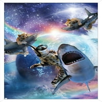 Џејмс Букер-Галакси Мачка Ајкули Ѕид Постер, 22.375 34 Врамени